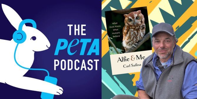 Go Behind the Scenes at PETA With Our New Podcast