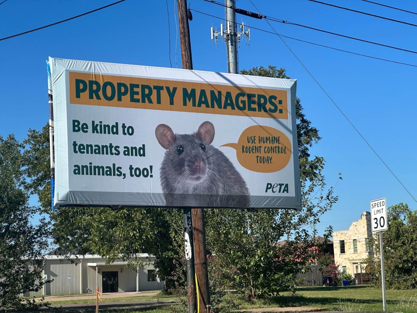 Photo of humane rodent control billboard with text reading property managers be kind to tenants and animals too, use humane rodent control today