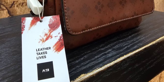 Photo of a leather handbag with a leather takes lives