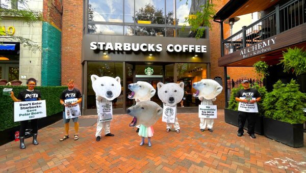 Ask Starbucks to Stop Charging Extra for Vegan Milk!