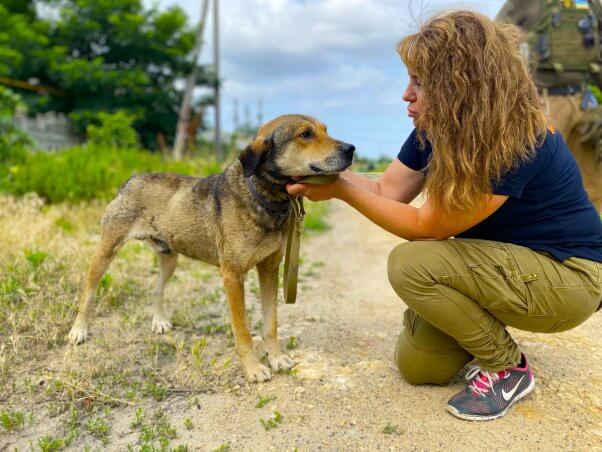 ARK member giving rescued dog pets