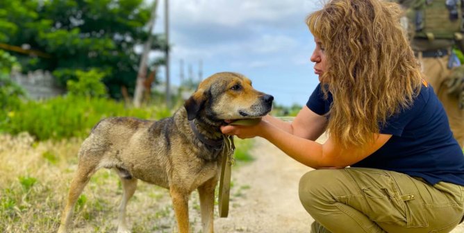 ARK member giving rescued dog pets