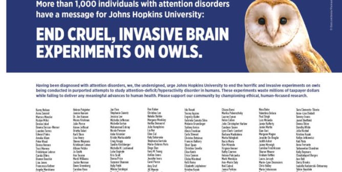 JHU: End Cruel, Invasive Brain Experiments On Owls.