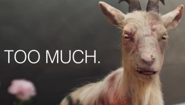How Much Will Your Black Friday Haul Cost? Animals Say, ‘Too Much’