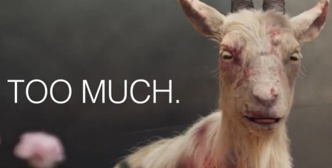 How Much Will Your Black Friday Haul Cost? Animals Say, ‘Too Much’