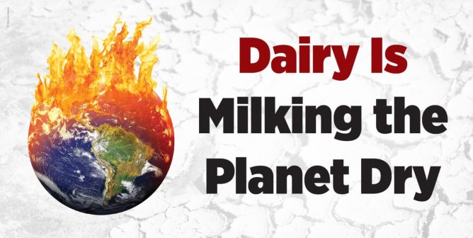 Globe on fire next to text "Dairy Is Milking the Planet Dry"