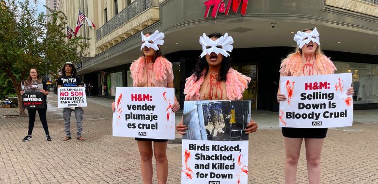 ‘Bloodied Birds’ Ruffle H&M’s Feathers Over Cruel Down Sales