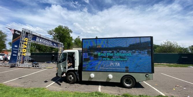 photo of mobile billboard truck in parking lot, about 50 feet from a marathon finish line