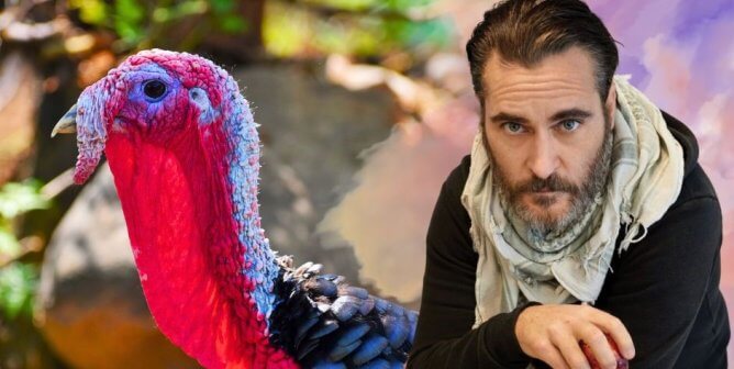 Joaquin Phoenix Exposes What Most People Never See Before Thanksgiving 