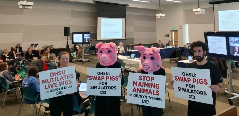 ‘Pigs’ Demanding Change Interrupt OHSU Board Meeting