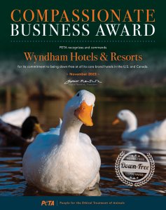 PETA's "Compassionate Business Award" that was given to Wyndham Resorts