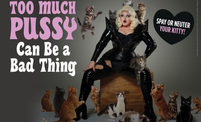 This ‘Drag Race’ Contestant Is ‘Feline’ Fine and Helping to Fix a Huge Issue Cats Face