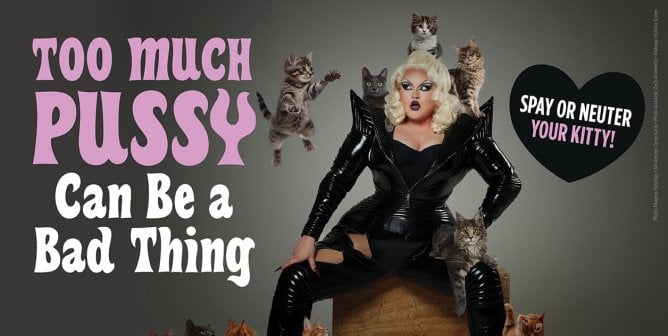 Victoria Scone surrounded by cats next to text "too much pussy can be a bad thing"