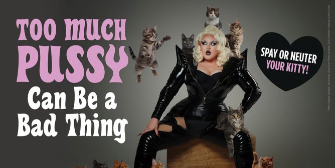 This ‘Drag Race’ Contestant Is ‘Feline’ Fine and Helping to Fix a Huge Issue Cats Face