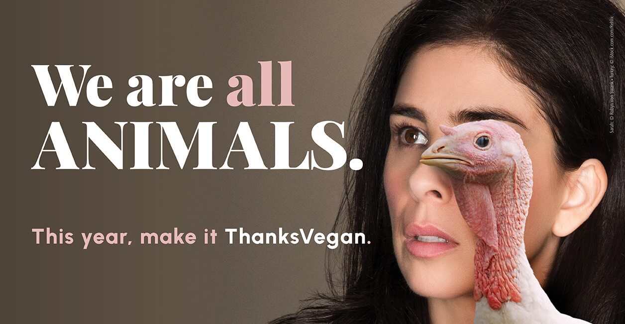 Sarah Silverman with turkey next to text that says "We Are All animals"