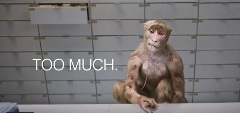 Insta gif name monkey|TikTok Search