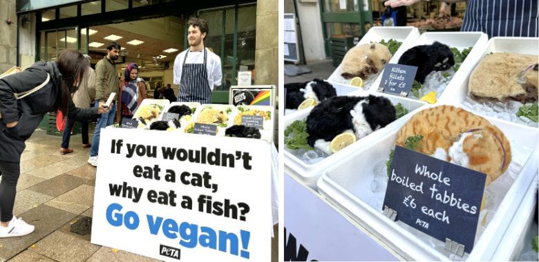 PETA U.K. ‘Catmonger’ Serves Up ‘Dead Cats’