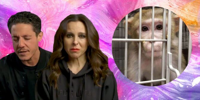 Celebrities Watch Animal Testing Videos—Their Reactions Will Haunt You