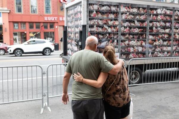 couple hugs sadly while viewing PETA's chicken truck