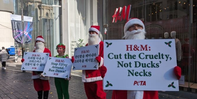 In front of an H&M store. Three people dressed as santa claus and one dressed as an elf hold protest signs in English and Hangul. The signs in english read, from right to left: "H&M: Cut the Cruelty, not ducks' necks" and "stop elfing around, ban down!"
