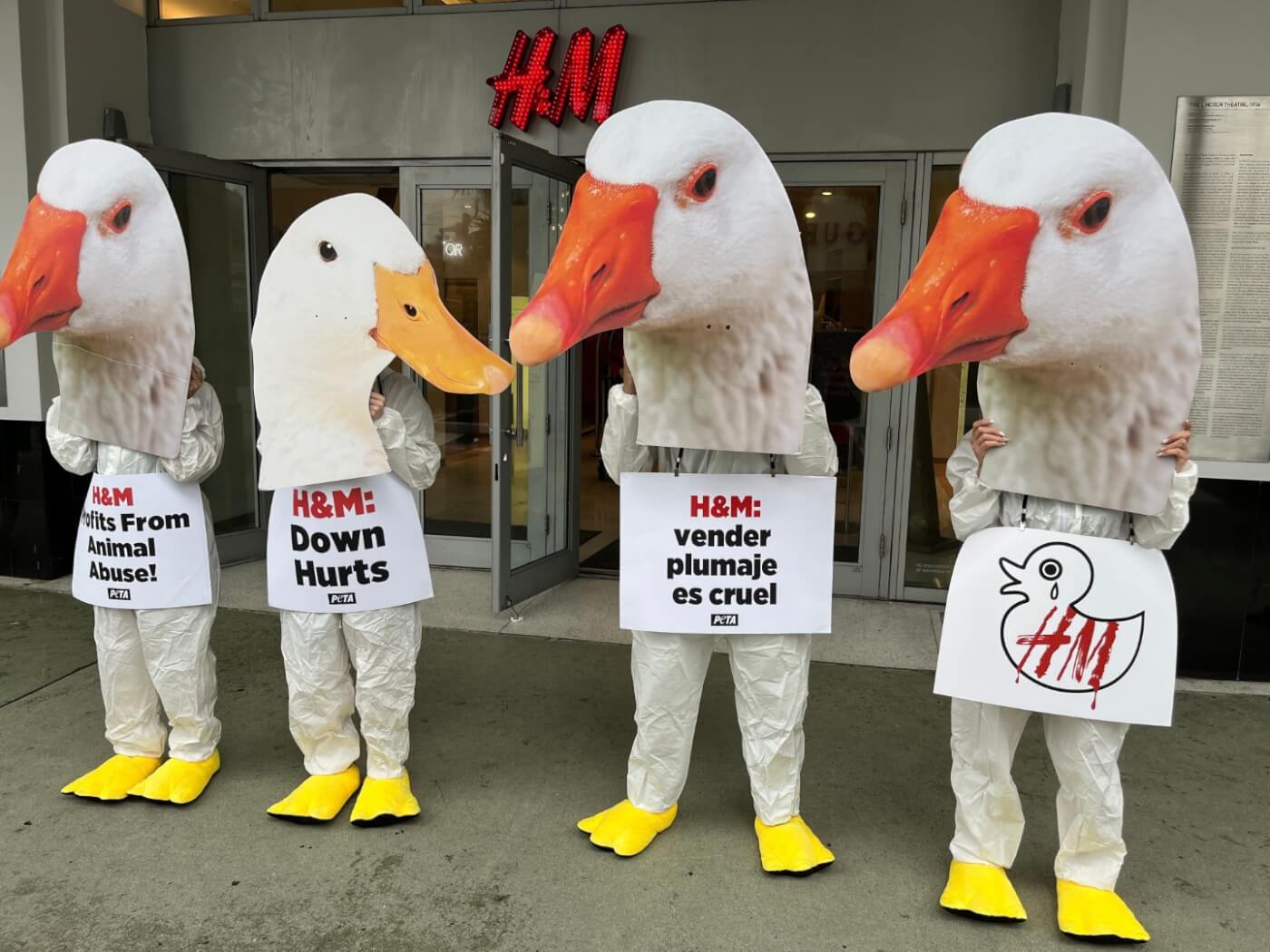 In front of an H&M store. humans holding large photo cutouts of live duck heads in front of their faces. they hold signs reading, in order, "H&M profits from animal abuse", "H&M down hurts" and "H&M: selling feathers is cruel", the latter being in swedish.