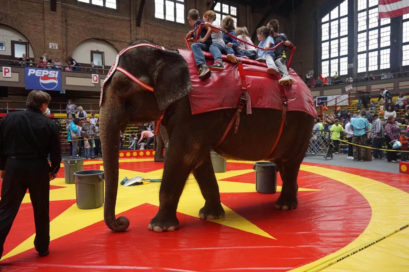 Polyram Plastic Industries to Cut Ties With Hadi Shrine’s Abusive Circus After Push From PETA