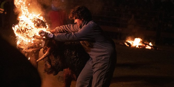 Help End the Sadistic ‘Fire Bull’ Festival in Spain