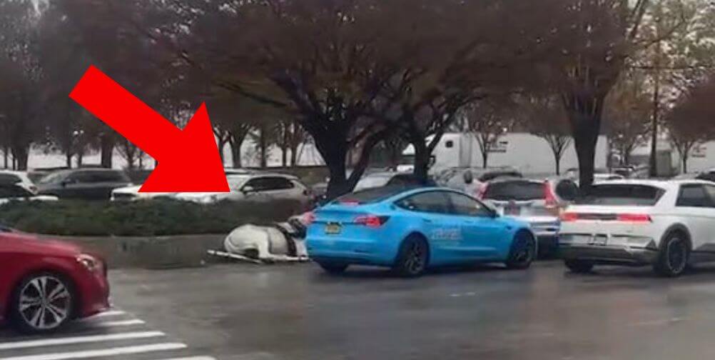 Gunner Flees to West Facet Freeway in Hell’s Kitchen