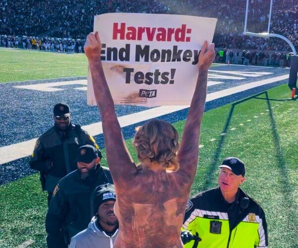 Protesta de Harvard