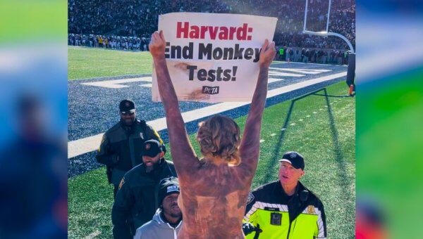 Manifestante de Harvard bordes borrosos