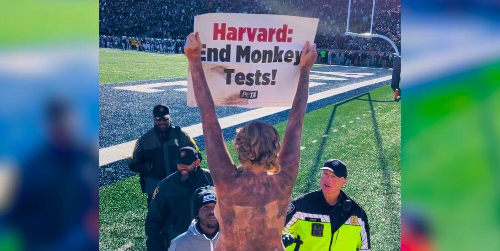 harvard protester blurred edges VIDEO: Nude ‘Monkeys’ Crash Harvard-Yale Game