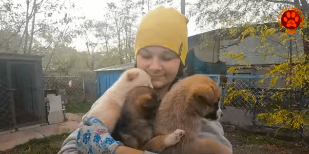 some of the abandoned animals in ukraine we rescued being held by a volunteer in yellow hat