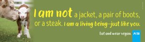 Billboard featuring a photo of a cow with her calf. Text reads I am not a jacket, a pair of boots, or a steak. I am a living being-just like you