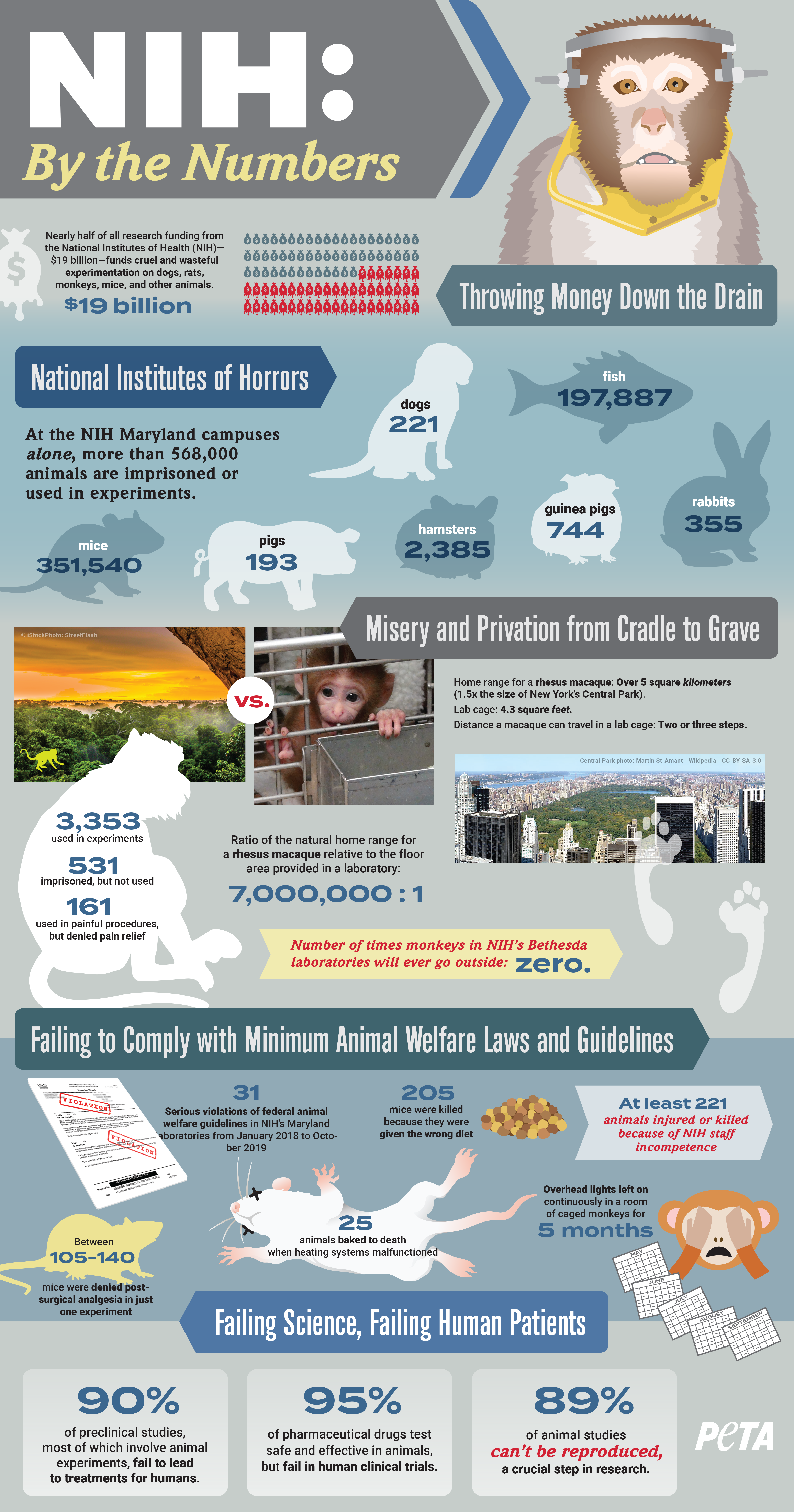 Infographic for NIH