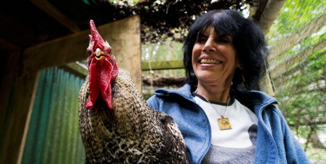 Join PETA in Honoring Karen Davis by Advocating for Birds