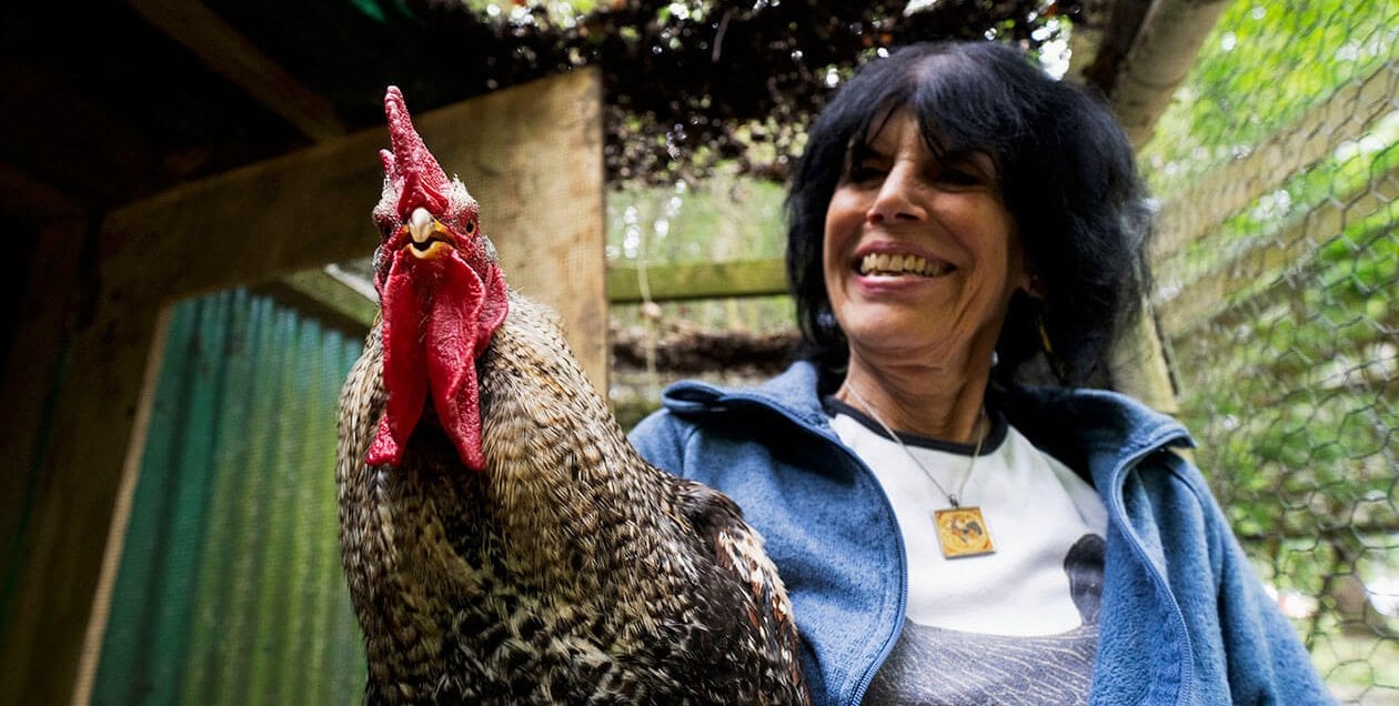 Terms & Conditions – Rainbow Friends Animal Sanctuary