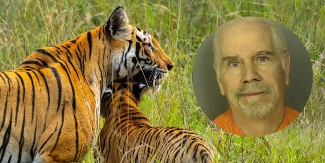 mug shot of Doc Antle next to tiger