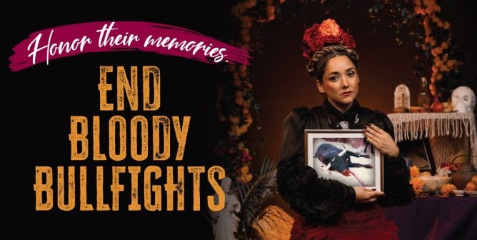 Reflect, Remember, and Act: Sherlyn’s Message for the Día de Muertos