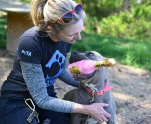 PETA fieldworker with dog holding toy champagne bottle