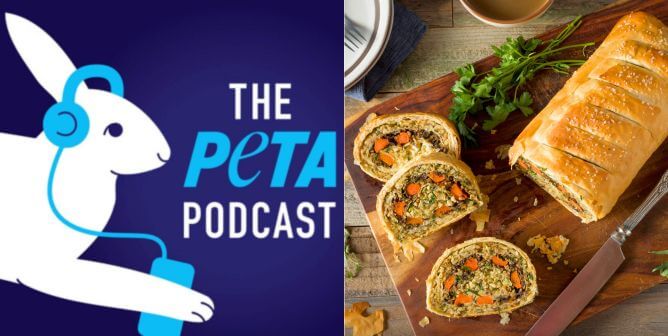 Go Behind the Scenes at PETA With Our New Podcast