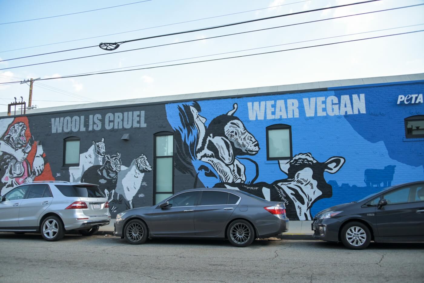 Praxis wool mural
