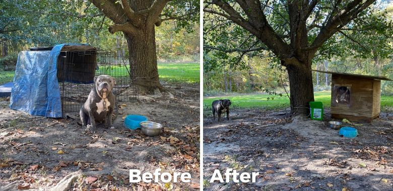 Riley’s ‘Shelter’ Gets a Winter Makeover