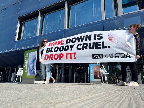 protestors holding "down is bloody cruel" at H&M demo