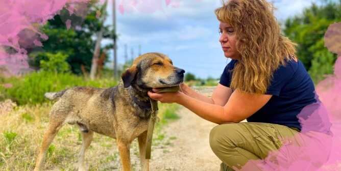 rescuer petting dog with pink edges