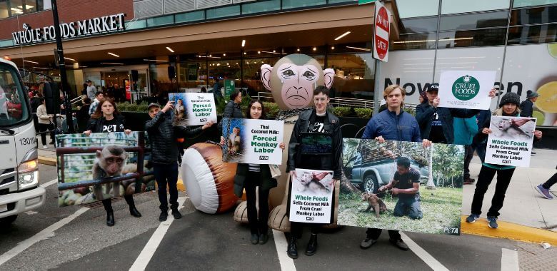 Giant ‘Monkey’ Hijacks Whole Foods Grand Opening