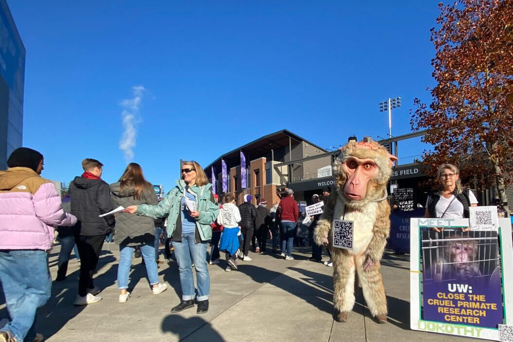 A demonstrator handing out leaflets