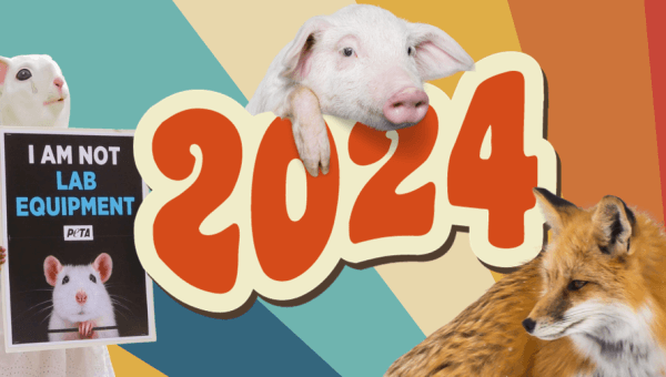 Do Your 2024 New Year’s Resolutions Include These Animal-Friendly Goals?