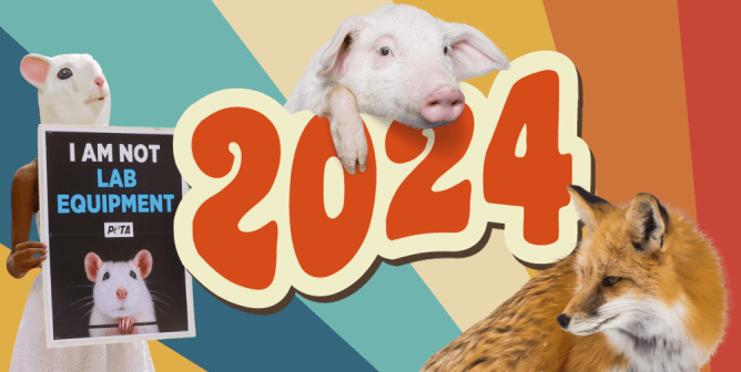 Do Your 2024 New Year’s Resolutions Include These Animal-Friendly Goals?