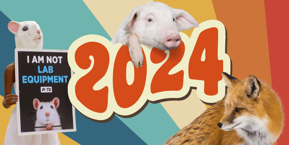 24 Animal-Pleasant New Yr’s Resolutions for 2024