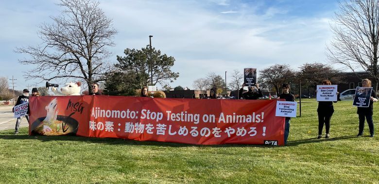 Giant ‘Mouse’ Blasts Ajinomoto’s Tests on Animals
